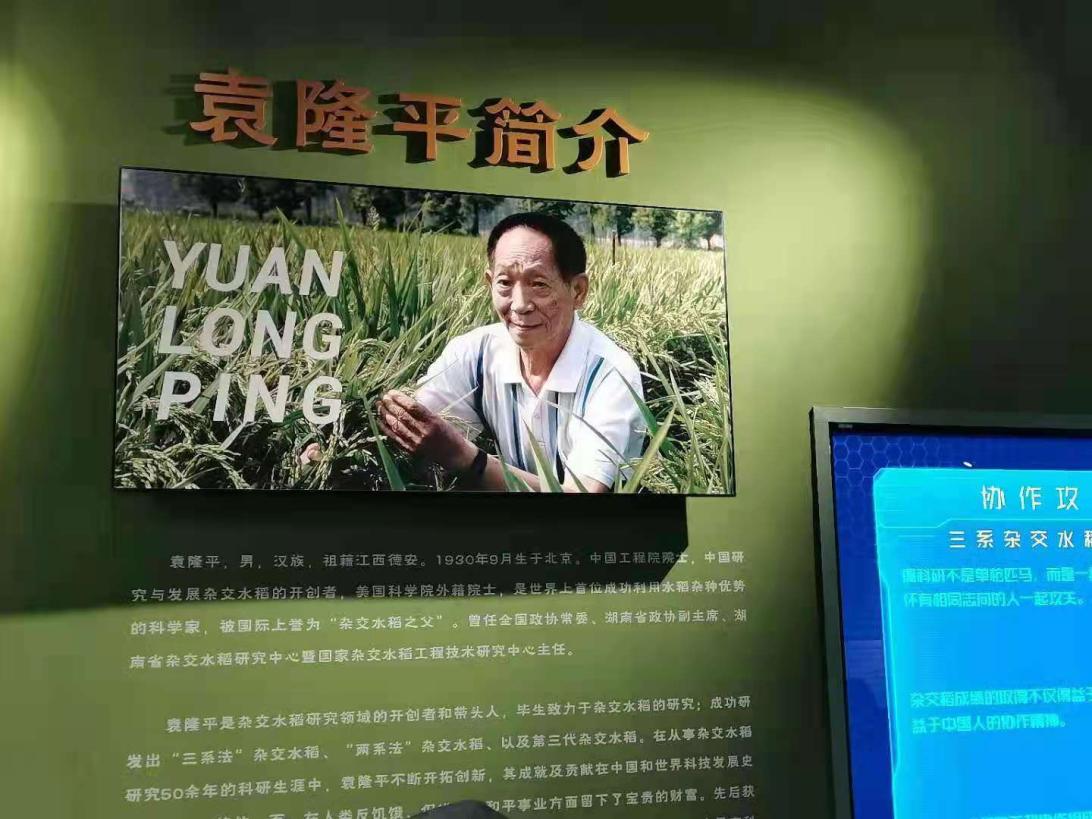 可乐小说网
师生悼念袁隆平院士：巨星陨落，精神长存！